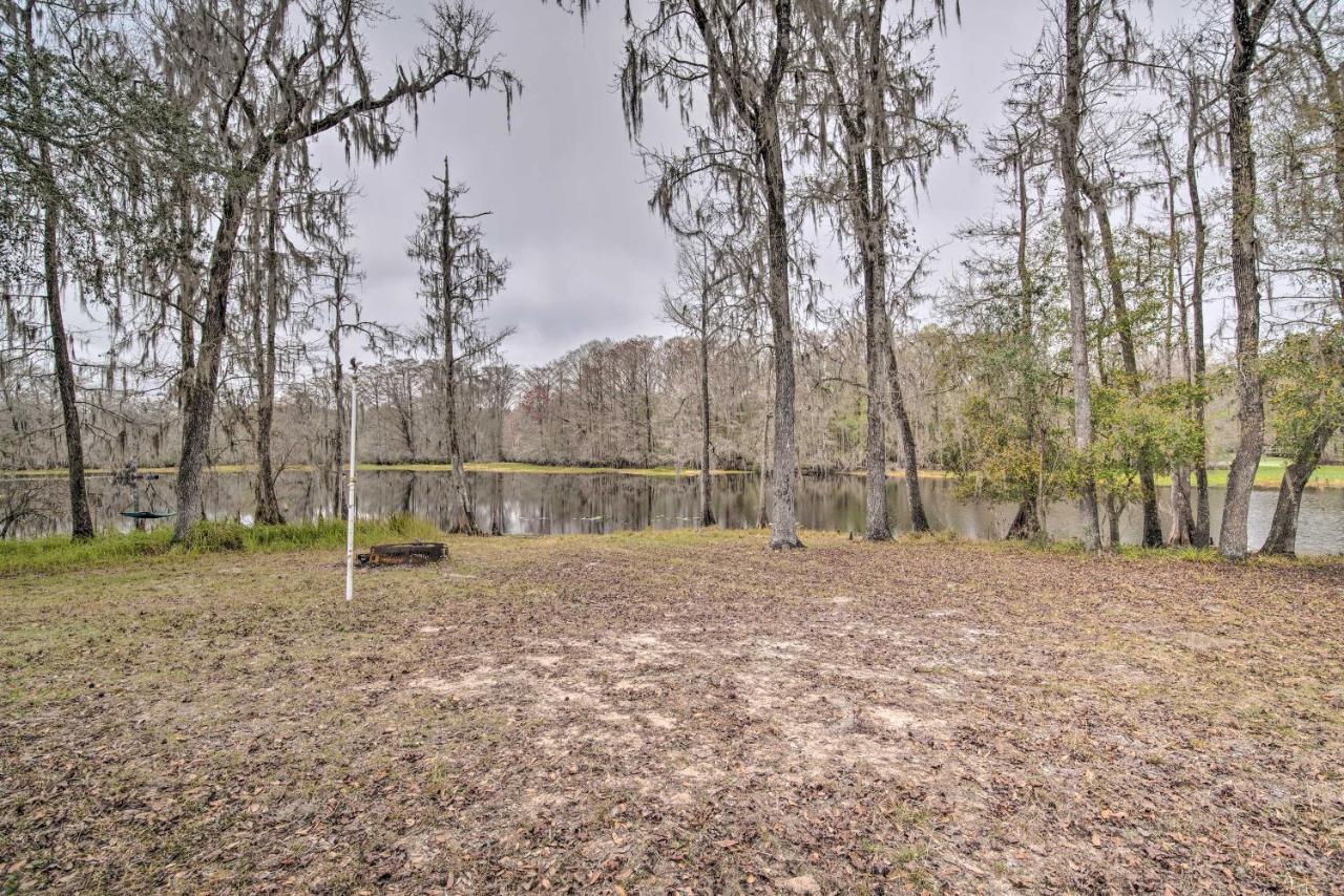 Unplugged Withlacoochee Riverfront Retreat! 布什奈尔 外观 照片